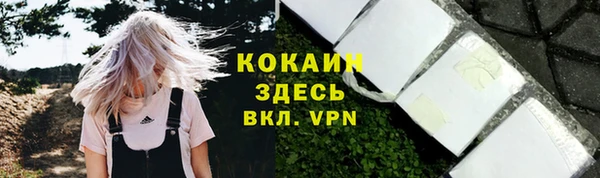 первитин Карпинск