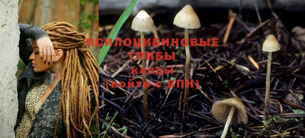 дживик Александровское