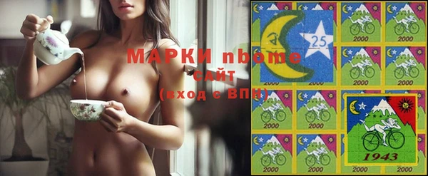 прущая мука Инсар