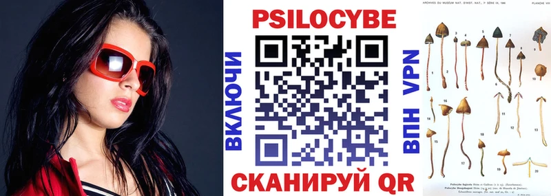 Галлюциногенные грибы Psilocybe  Кировск 