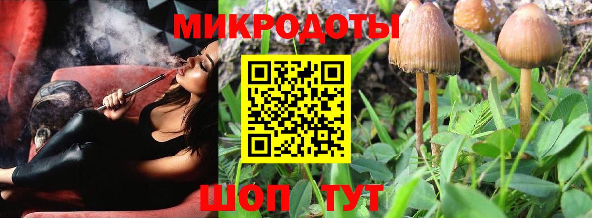 купить наркотик  Псилоцибиновые грибы ЛСД  Вход с VPN  Кировск 